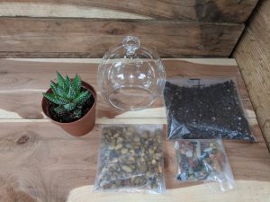 3" Glass Terrarium Craft Kit