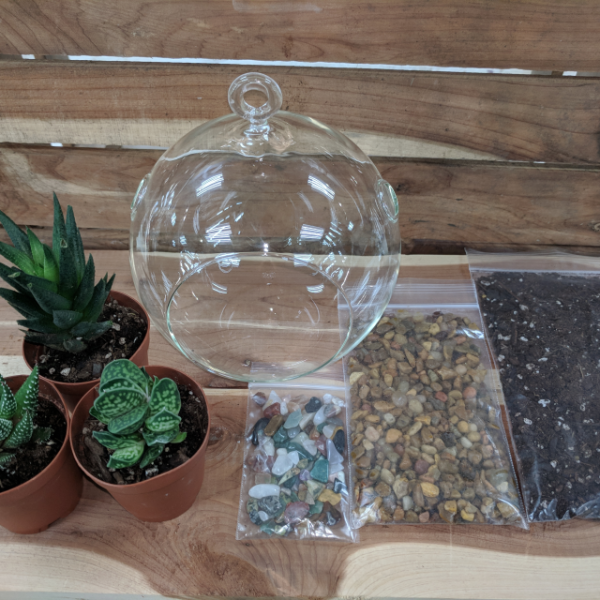 5" Glass Terrarium Craft Kit
