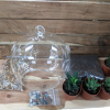 7" Large Glass Terrarium Craft Kit - Image 2