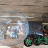 8" Half Glass - Image 2