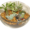 8" Half Glass