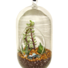 9.5" Glass Oblong Terrarium Craft Kit