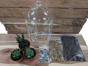 9.5" Glass Oblong Terrarium Craft Kit