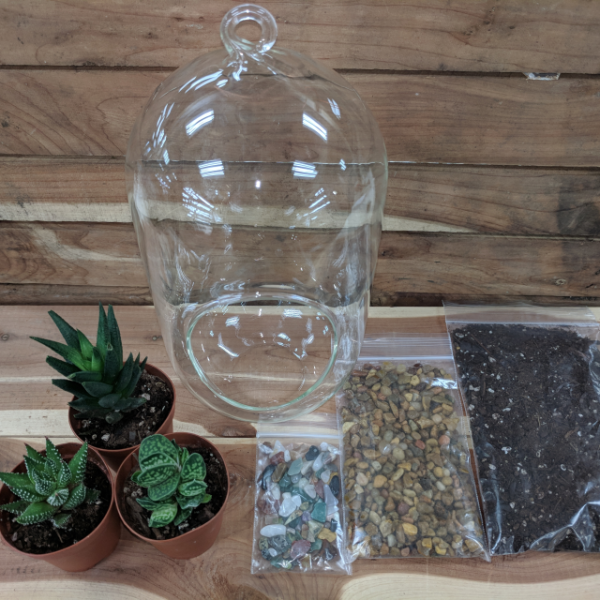 9.5" Glass Oblong Terrarium Craft Kit