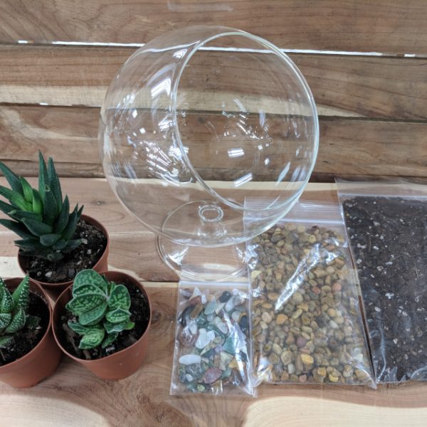 7" Glass Terrarium on Stand Craft Kit