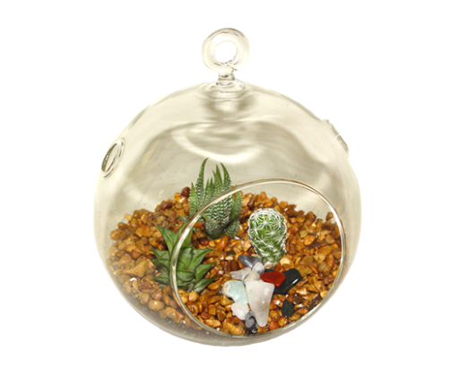Succulent Gift Example of Glass Ball