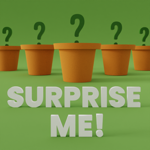 Surprise Me!