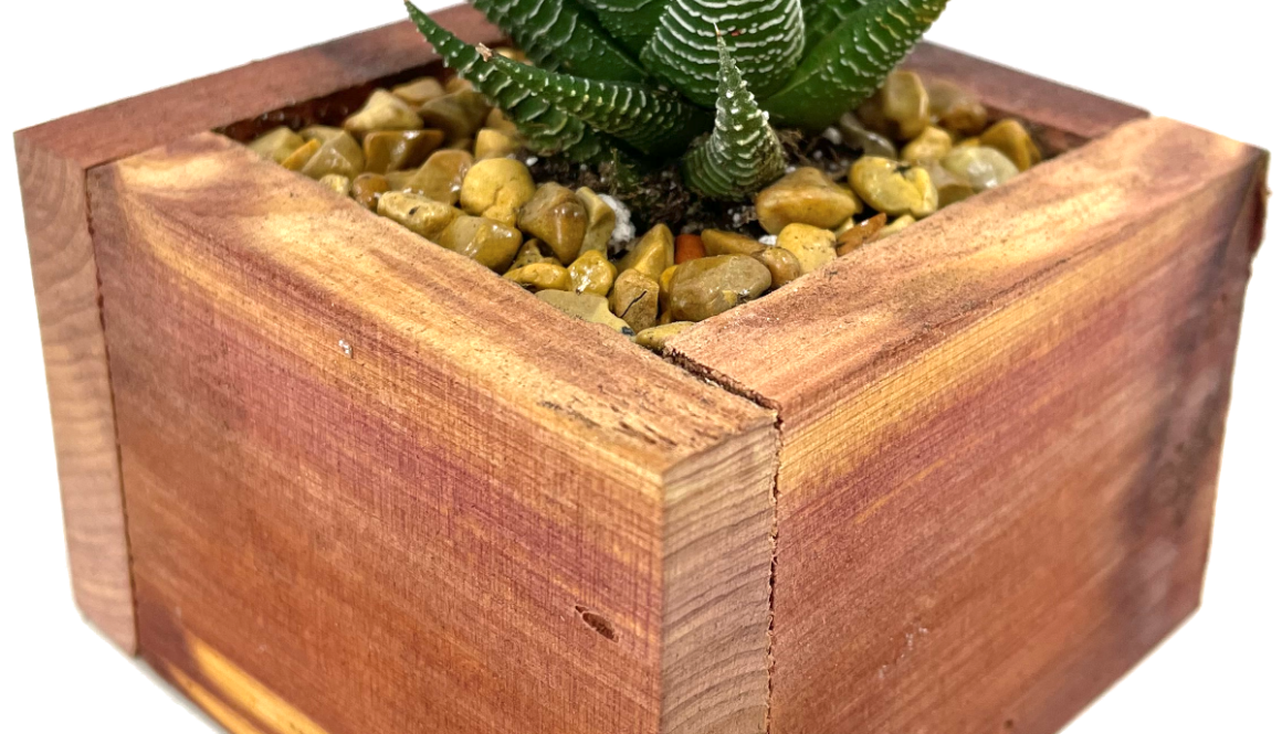 Mini Cedar Box