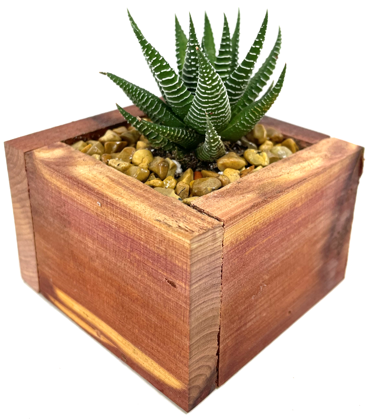 Mini Cedar Box