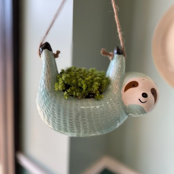 Sloth Planter Decorative