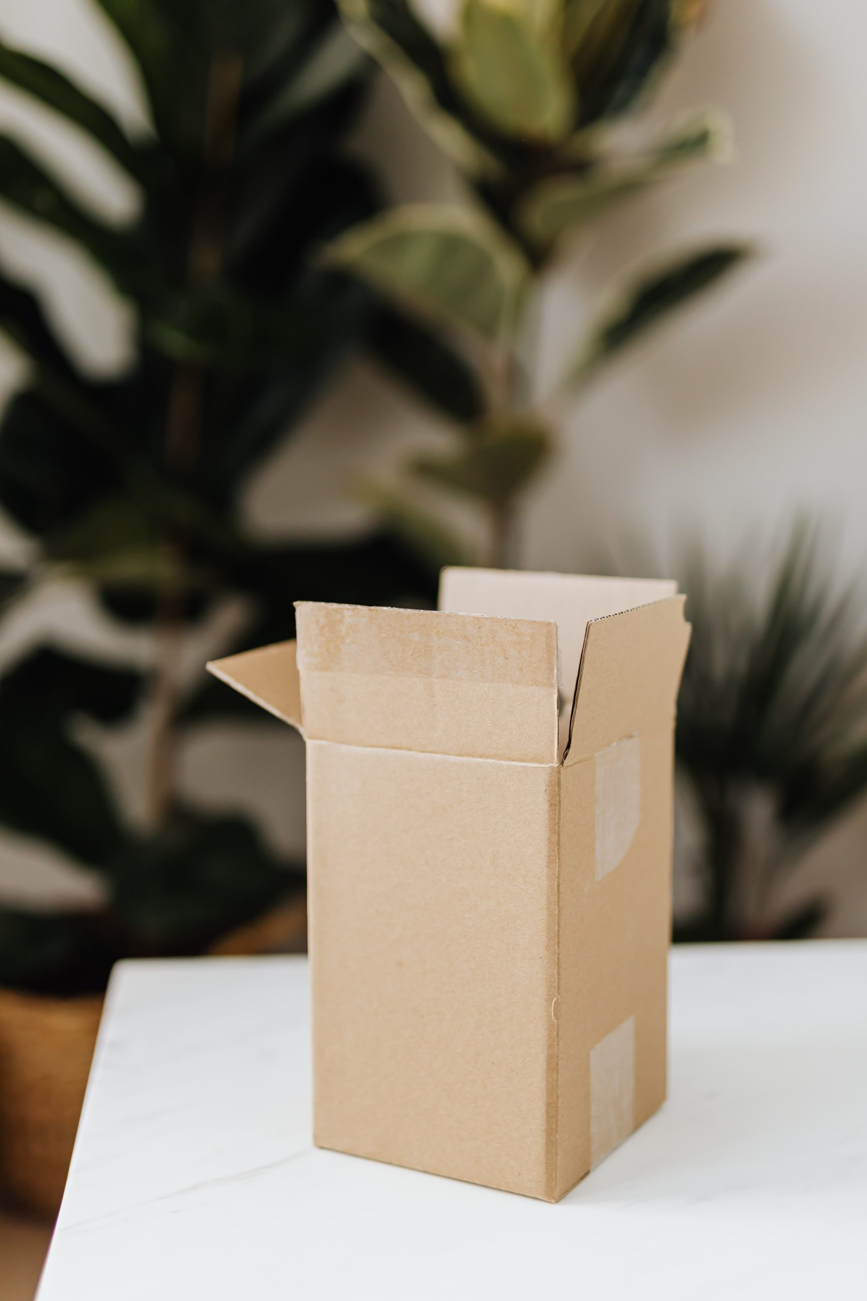 Package With Plants in Background