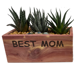 Best Mom Planter