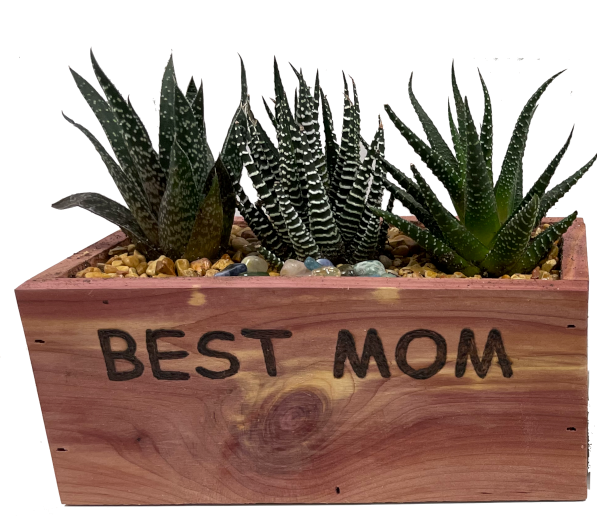 Best Mom Planter
