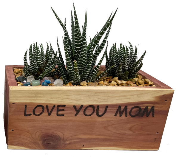 Love You Mom Planter
