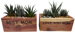 Moms Day Cedar Boxes